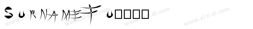 Surname Fu字体转换